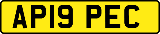 AP19PEC