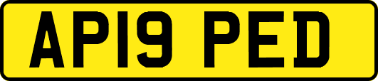 AP19PED