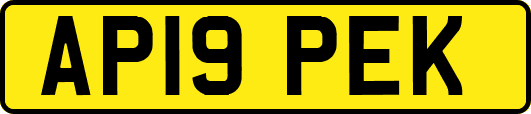 AP19PEK