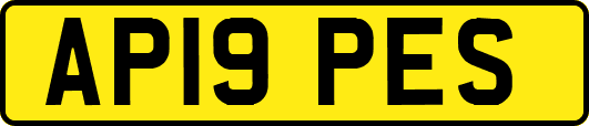 AP19PES