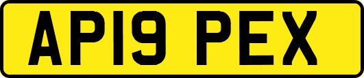 AP19PEX