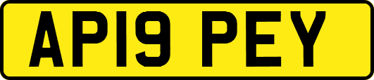 AP19PEY