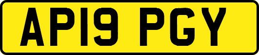 AP19PGY