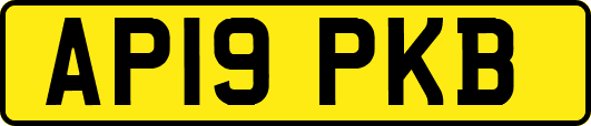 AP19PKB