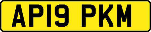 AP19PKM