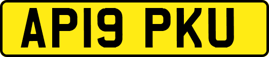 AP19PKU