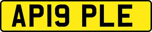 AP19PLE