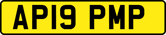 AP19PMP