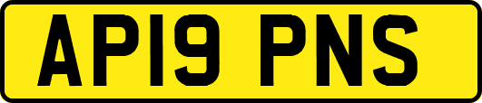 AP19PNS