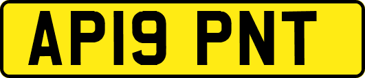 AP19PNT