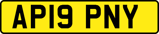 AP19PNY