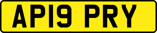 AP19PRY