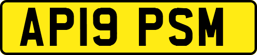 AP19PSM