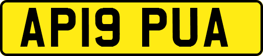 AP19PUA