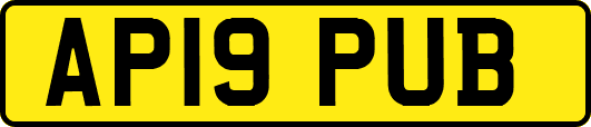 AP19PUB