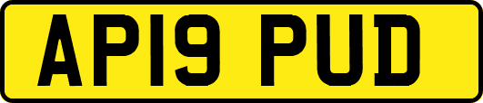 AP19PUD