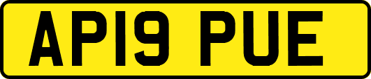 AP19PUE