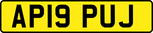 AP19PUJ
