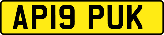 AP19PUK