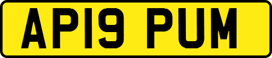AP19PUM