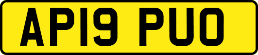 AP19PUO