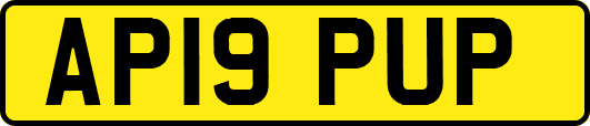 AP19PUP