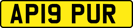 AP19PUR