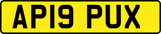 AP19PUX