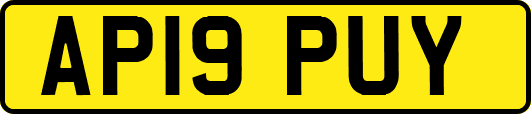 AP19PUY