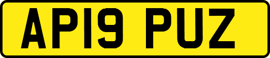 AP19PUZ