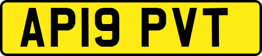 AP19PVT