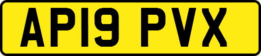 AP19PVX