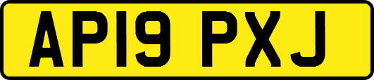 AP19PXJ