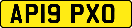 AP19PXO