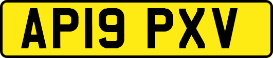 AP19PXV