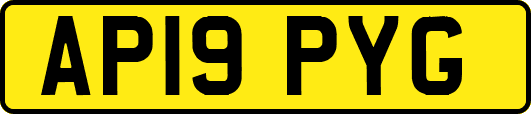 AP19PYG