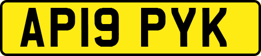 AP19PYK
