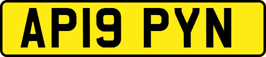 AP19PYN