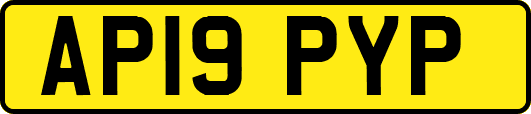 AP19PYP