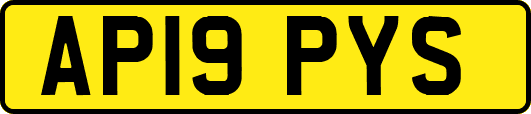 AP19PYS