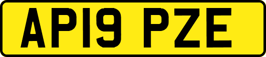 AP19PZE