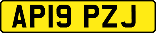 AP19PZJ
