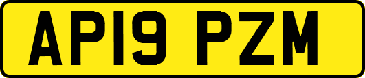 AP19PZM