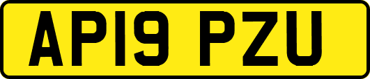 AP19PZU