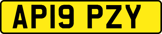 AP19PZY