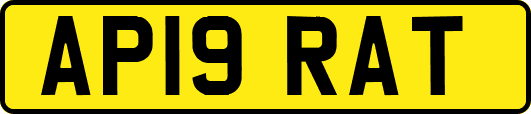 AP19RAT