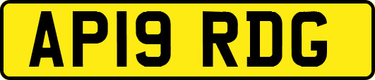 AP19RDG