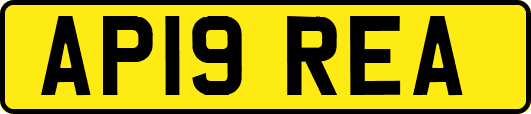 AP19REA