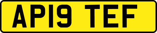 AP19TEF