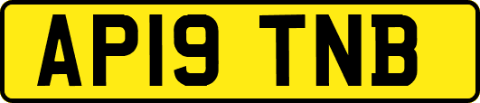 AP19TNB